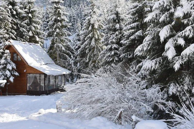 winter view - IMG-20241207-WA0028