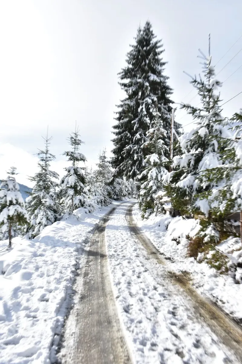 winter view - IMG-20241207-WA0035