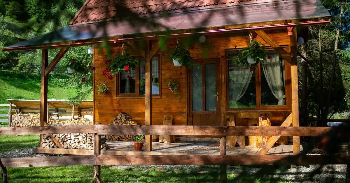pura-vida-forest-home.com preview